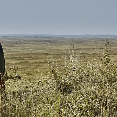 Szálloda Thinggaard 3*