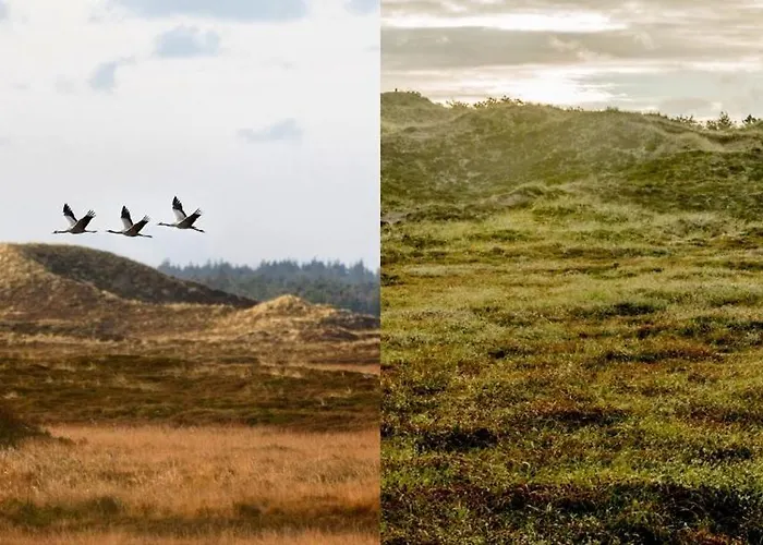 Thinggaard ホテル 3*