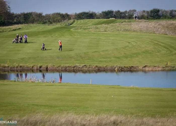 ホテル Thinggaard 3*