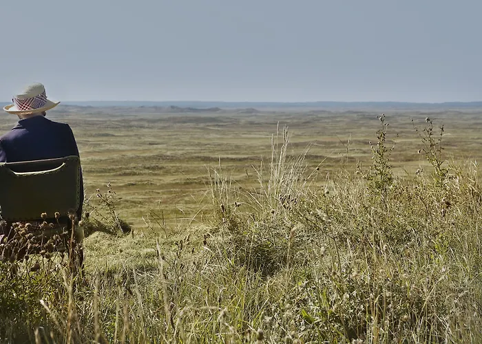 ホテル Thinggaard 3*